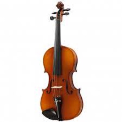 Violoncel 4/4 Accesorii abanos