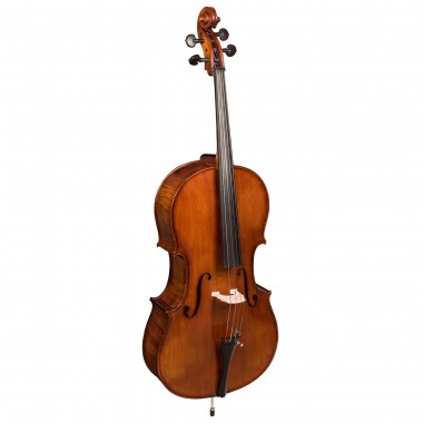 Violoncel maistru