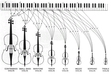 Contrabass